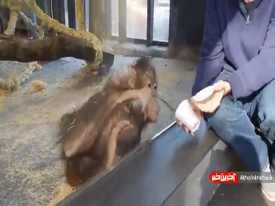 واکنش عالی به شعبده بازی