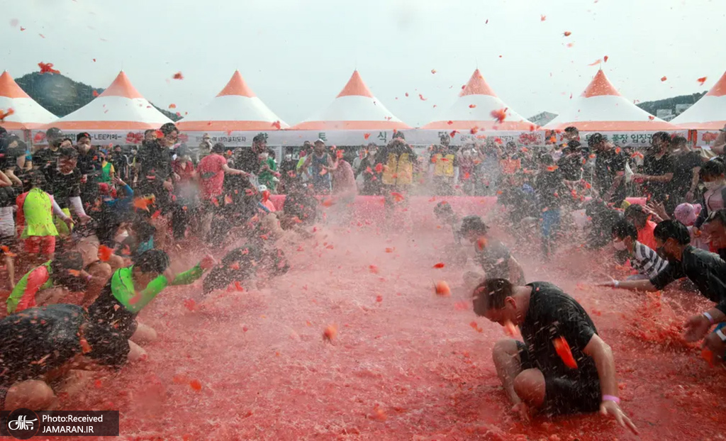 فستیوال دعوای گوجه فرنگی در کره‌ جنوبی