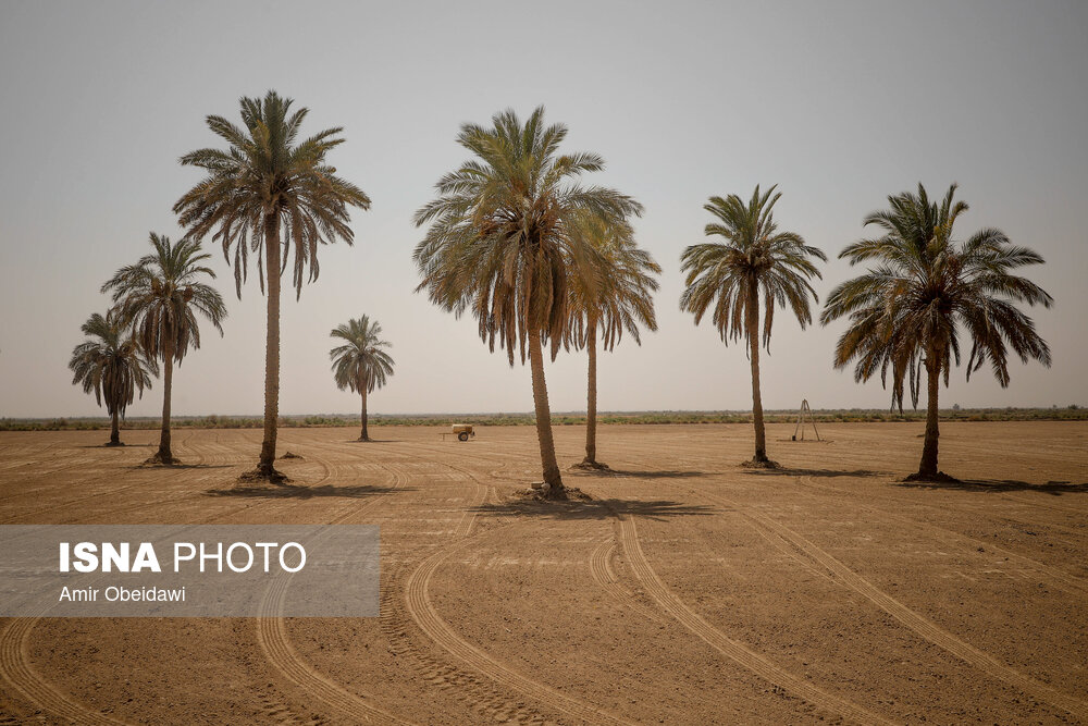 آبرسانی با تانکر به روستاهای درگیر تنش آبی در خوزستان