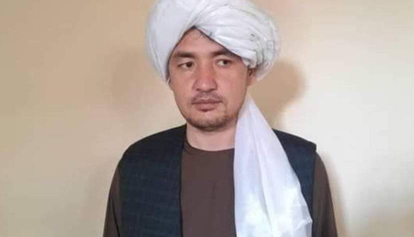 واکنشها به کشته شدن مولوی مهدی تنها فرمانده شیعه طالبان