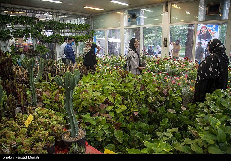 نمایشگاه گل و گیاه در کرمانشاه