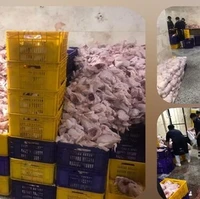 کشتارگاه غیربهداشتی مرغ در کازرون تعطیل شد