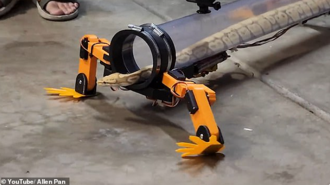 این ربات عجیب به مارها اجازه می‌دهد تا روی دست و پا راه بروند