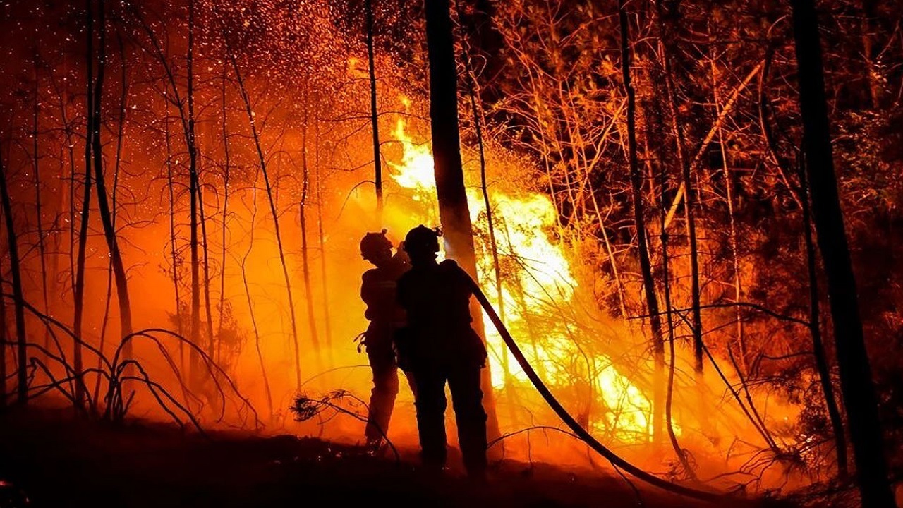 جنگل‌های فرانسه همچنان در آتش‌!
