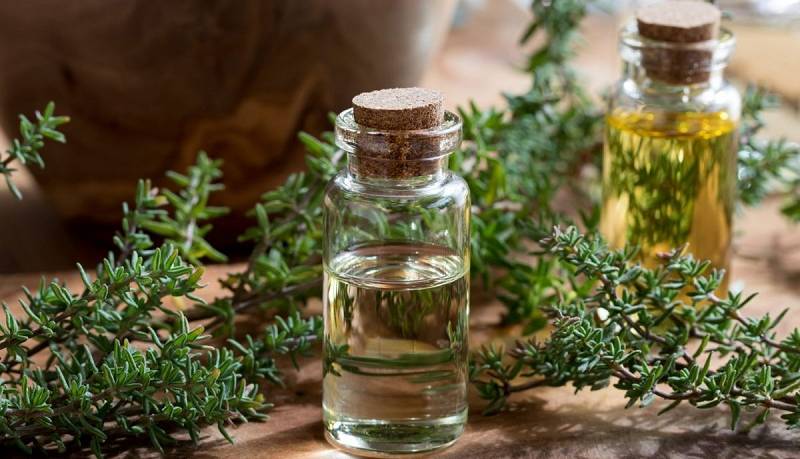 ۶ آنتی بیوتیک خانگی قوی  