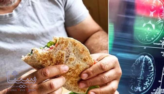 رژیم غذایی پرچرب منجر به زوال عقل می شود رژیم غذایی پرچرب منجر به زوال عقل می شود