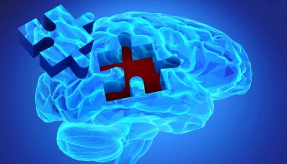 بازیابی حافظه از طریق تقویت تشکیل سلول های عصبی