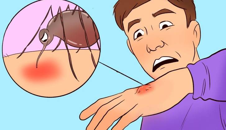 اینفوگرافی؛ پشه‌ها بیشتر سراغ چه کسانی می‌روند؟!