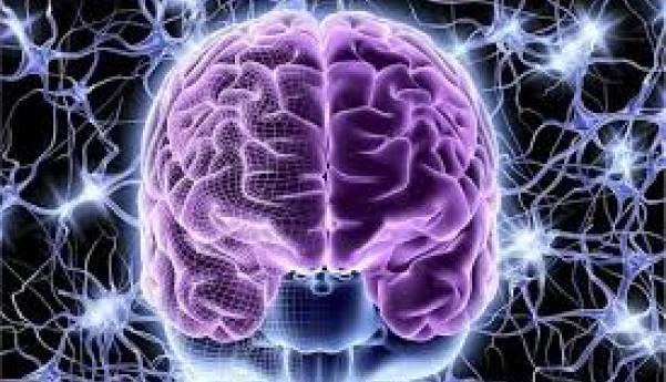 چرا برخی افراد شجاع تر هستند؟ این شبکه عصبی مسوول ایجاد ترس است