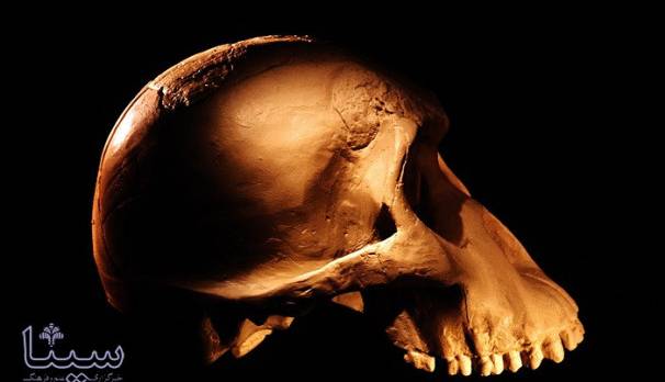 با جویدن می توان لاغر شد