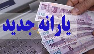 ورود سازمان بازرسی به موضوع پرداخت یارانه‌ها