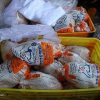 کاهش ۲۰ درصدی عرضه مرغ در بازار