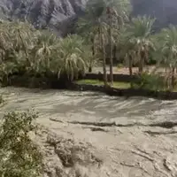 سیلابی شدن رودخانه «بلبل‌آباد» بشاگرد