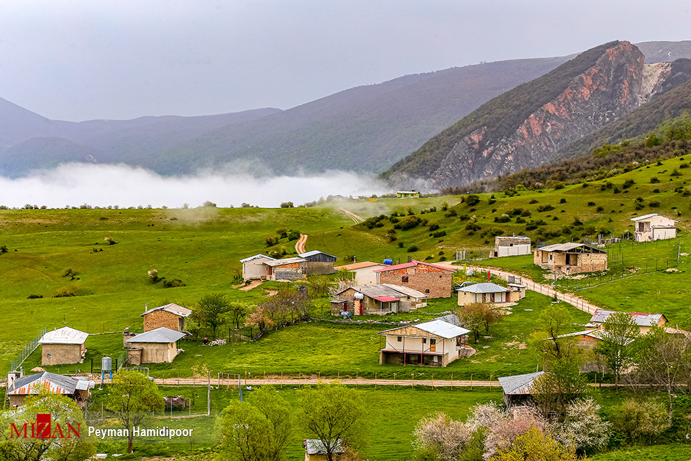 طبیعت جهان‌نما
