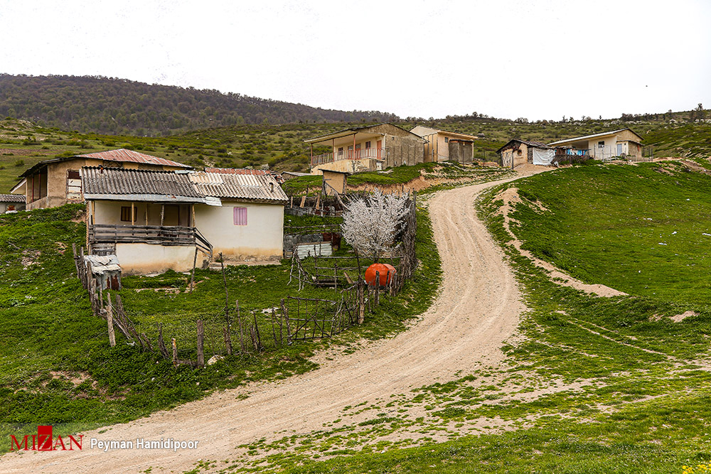 طبیعت جهان‌نما