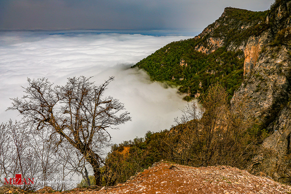طبیعت جهان‌نما