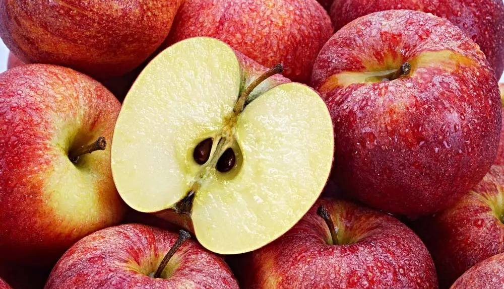 همه چیز در مورد سیانور موجود در هسته سیب؛ چند سیب برای کُشتن ما کافی است؟