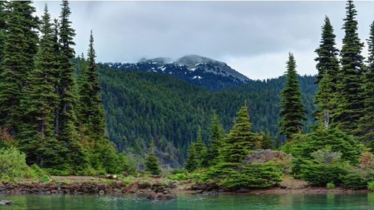 مستند تایگا سرزمین عجایب آبی