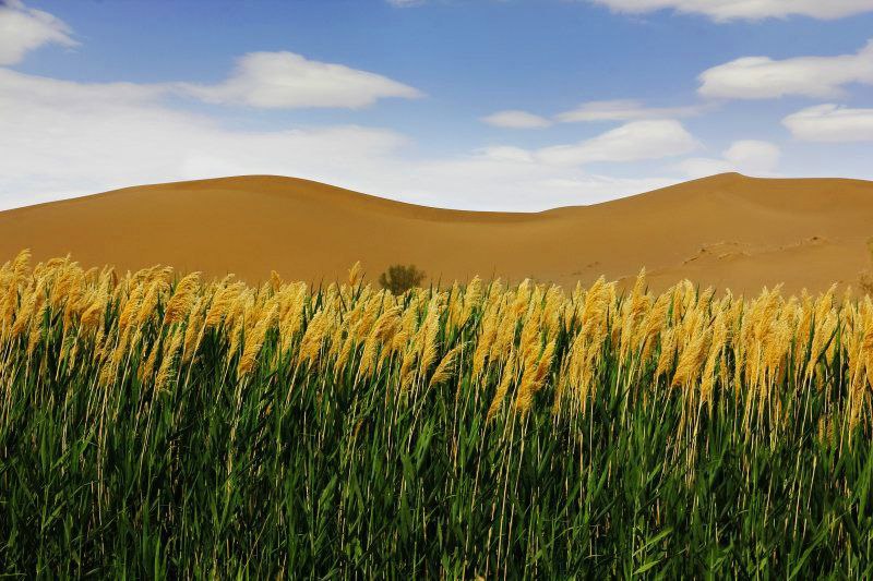 روستای زیبا و توریستی مصر در استان اصفهان