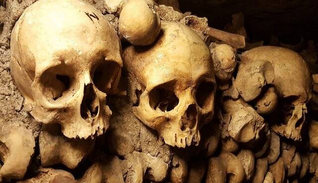 تعیین دقیق قدمت بقایای انسان ۱۰ هزار ساله با کمک هوش مصنوعی