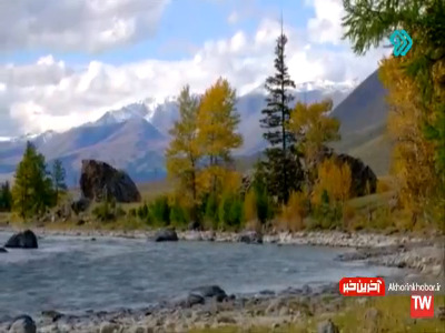 نماهنگ «اسرار عشق» با صدای همایون شجریان