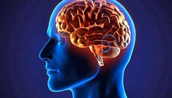 سلامت ضعیف قلب پیری زودرس مغز را پیش‌ بینی می ‌کند