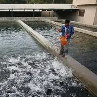 تکمیل زیرساخت مجتمع یک‌هزار تنی پرورش ماهی الیگودرز 