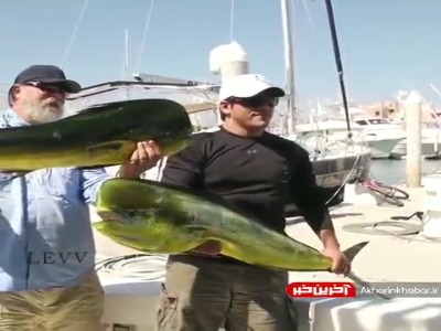 دیگه دریا هم امنیت نداره