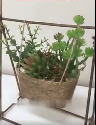 بازیافت هنرمندانه ظرف پنیر!