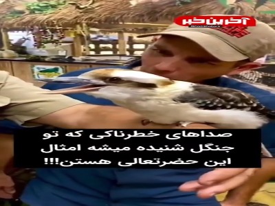 این فسقلی کل جنگل و باصداش وحشتناک میکنه