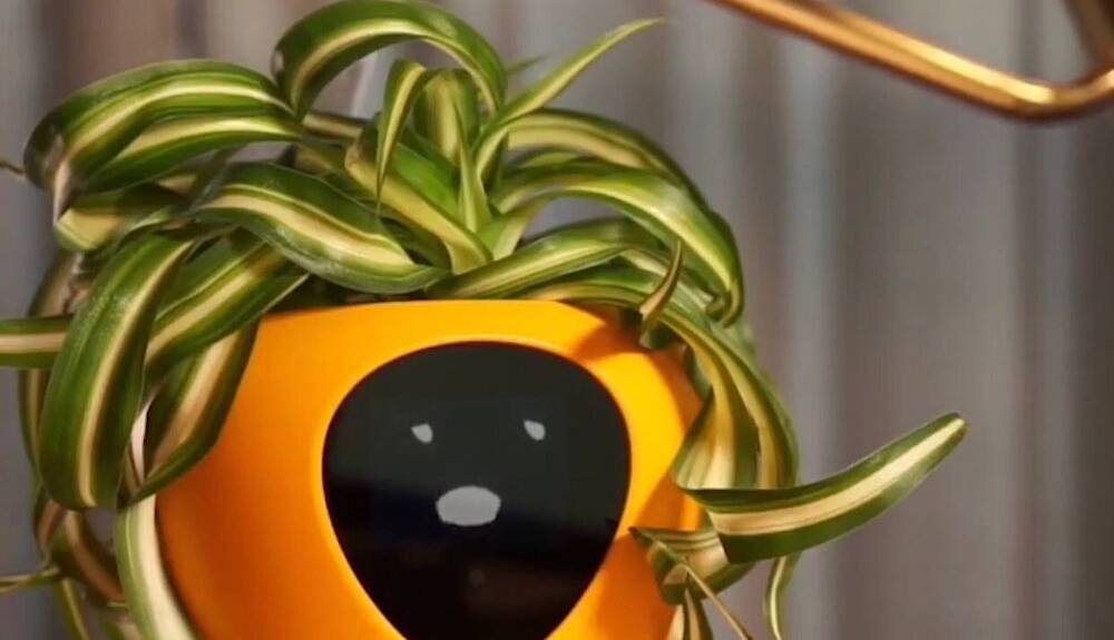 گلدان شگفت انگیزی که لبخند می زند و اخم می کند!