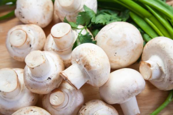 روش نگهداری قارچ خام بالای 10 روز با فرمول جهانی