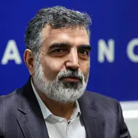 سخنگوی سازمان انرژی اتمی: خواسته‌های آژانس از ایران، زیاده‌خواهانه است