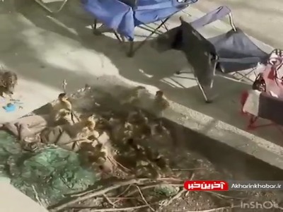 وقتی یک انسان خوب در زمان و مکان مناسب قرار می‌گیرد