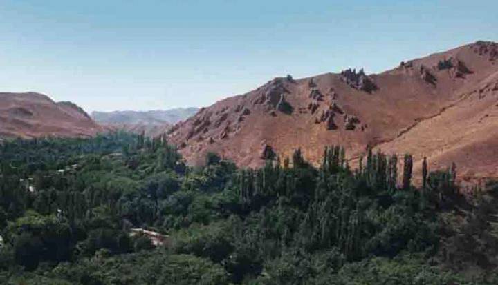 آهنگ محلی/ ترانه زیبای «سالوک» با گویش کرمانجی