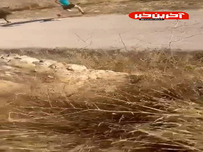 کاش کمکش نمیکردن!