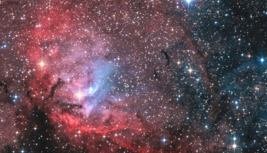 تصویر روز ناسا؛ سحابی گل لاله در صورت فلکی ماکیان