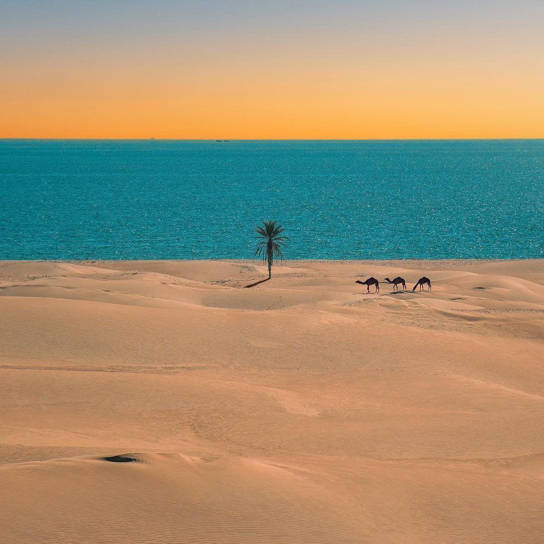 نمایی رویایی از روستای درک در سیستان و بلوچستان
