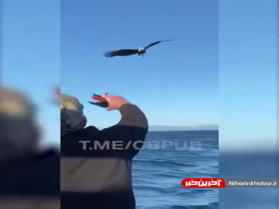 سوخت گیری روی آب