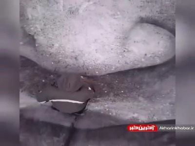 وقتی از هنرمند بودن حرف میزنیم