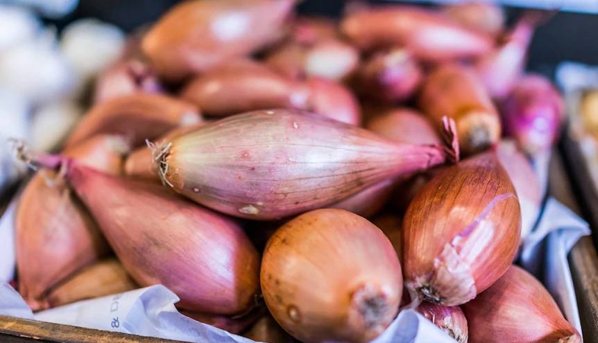 «موسیر» قهرمان سلامت را جدی بگیرید!