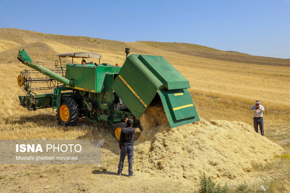 عکس/ برداشت استراتژیک‌ترین محصول کشاورزی در شهرستان اهر