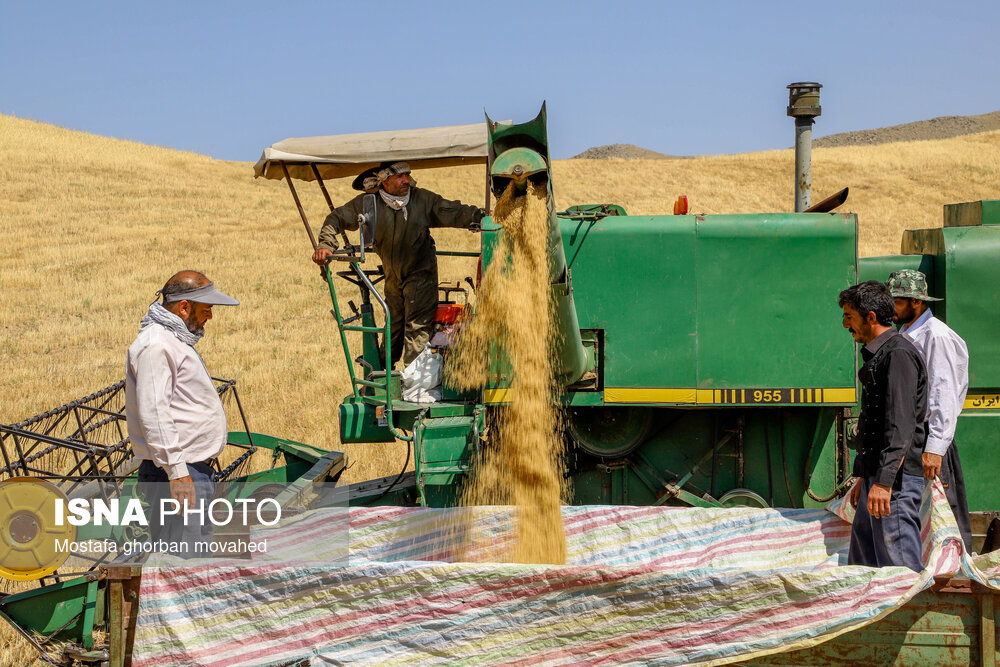 عکس/ برداشت استراتژیک‌ترین محصول کشاورزی در شهرستان اهر