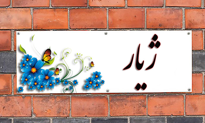 انتخاب اسم؛ معنی اسم «ژیار» چیست؟