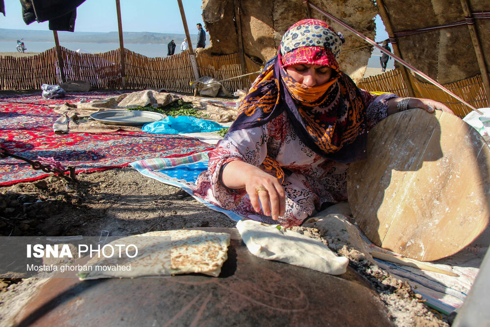 عکس/ برداشت استراتژیک‌ترین محصول کشاورزی در شهرستان اهر