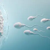 کشف پروتئینی که موجب پیوند اسپرم و تخمک می شود