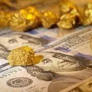 کاهش نرخ سکه در برابر افزایش قیمت طلا