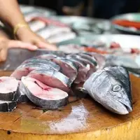 قیمت روز انواع ماهی