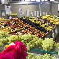 قیمت انواع میوه و تره بار در میادین شهرداری