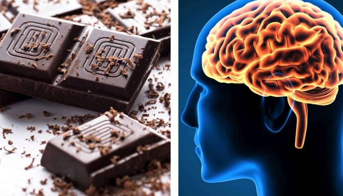 Едят ли мозг человека. Шоколадный мозг. Сладости полезны для мозга. Шоколад для мозга. Шоколад и организм человека.
